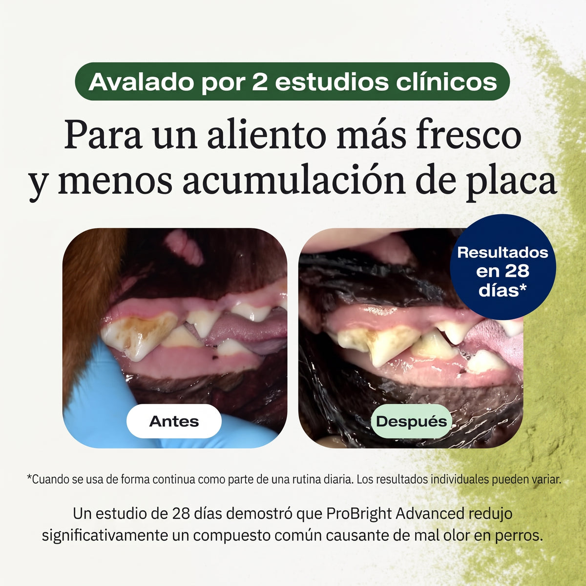 Polvo dental para mascotas | 60g