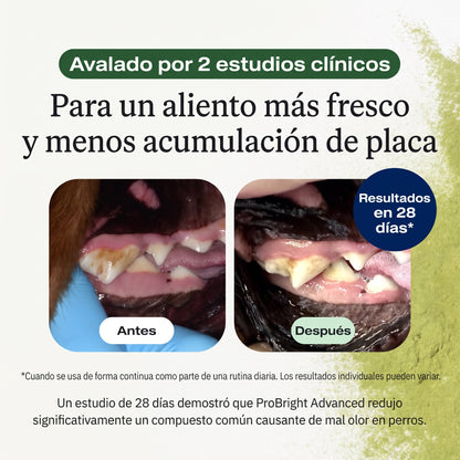 Polvo dental para mascotas | 60g