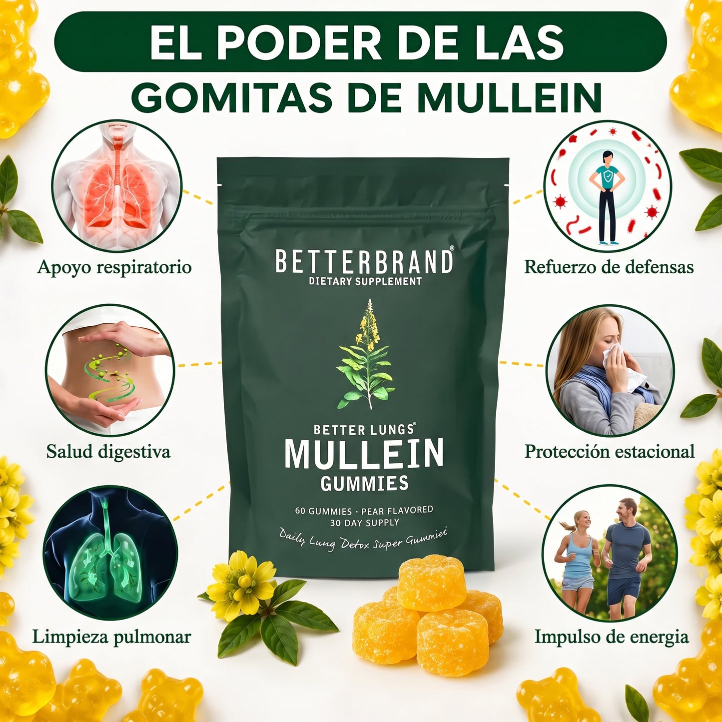 GOMITAS DE GORDOLOBO (MULLIEN) - LIMPIA TUS PULMONES